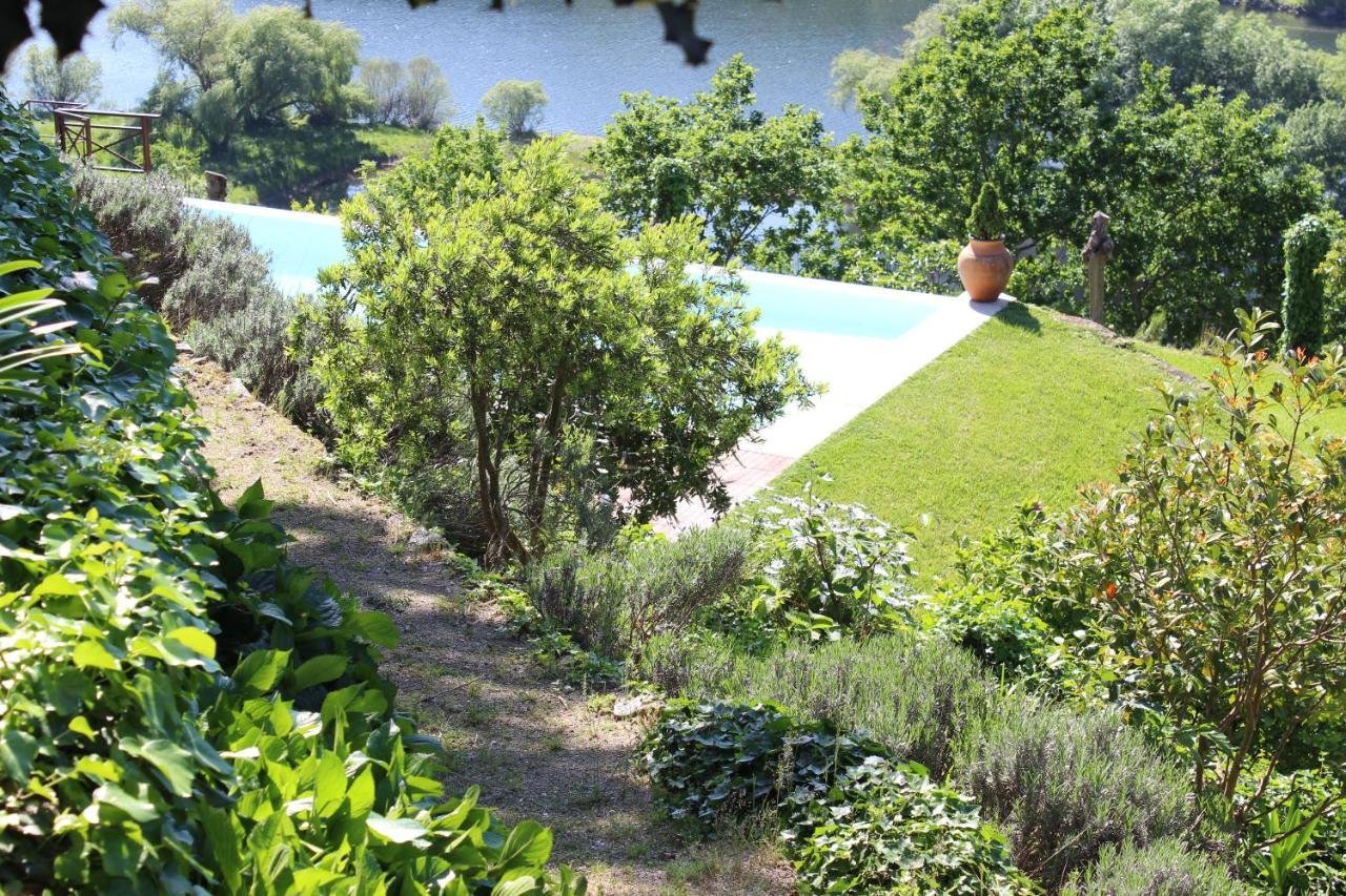 아마란테 "Bouca Drigues" Casa Antiga De Pedra Com Piscina E Vista Rio 빌라 외부 사진