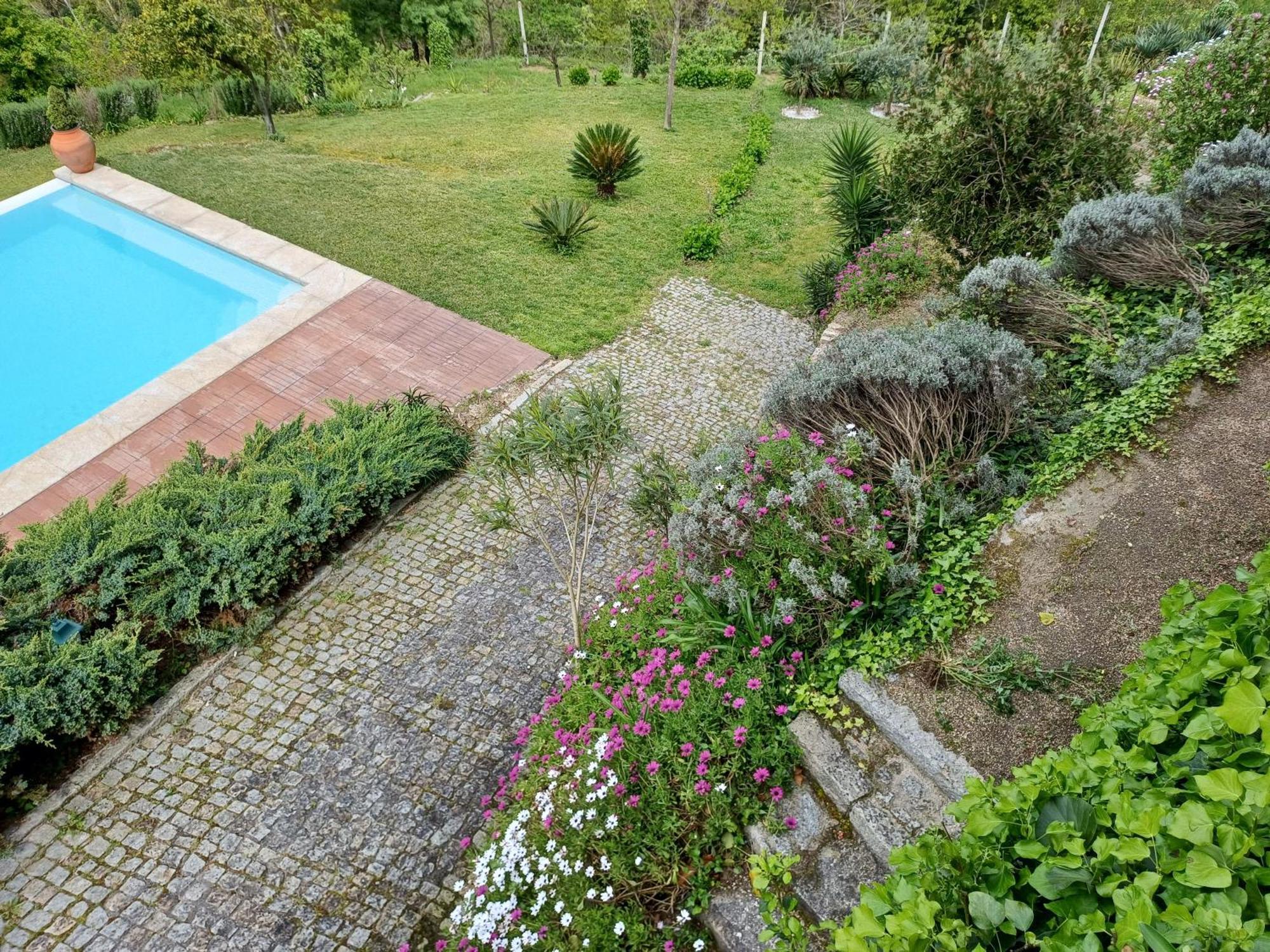 아마란테 "Bouca Drigues" Casa Antiga De Pedra Com Piscina E Vista Rio 빌라 외부 사진